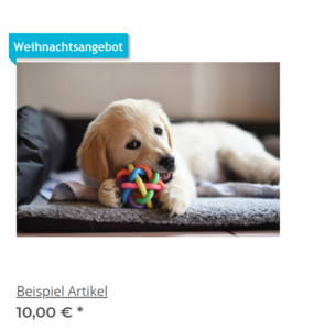 custom-badge-frontend-beispiel-jtl-shop-5.